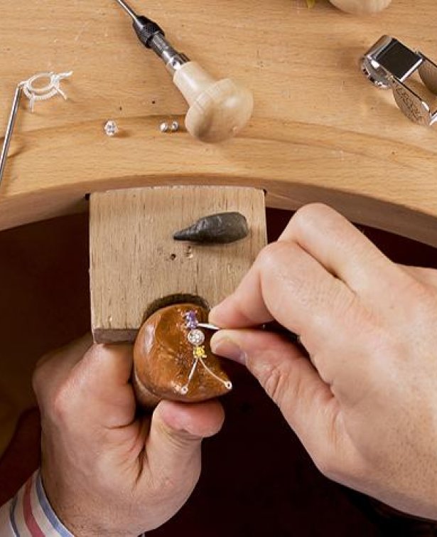 From the Wax Project to the Setting Techniques	